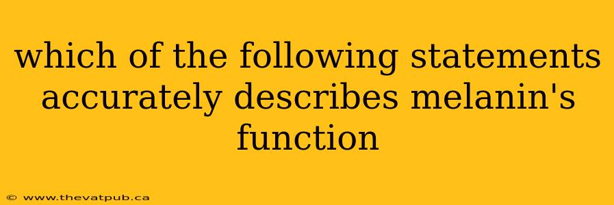 which of the following statements accurately describes melanin's function