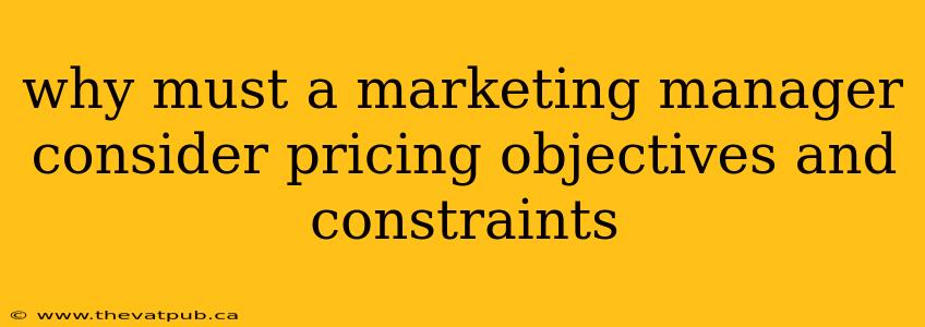 why must a marketing manager consider pricing objectives and constraints