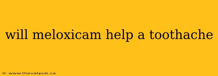 will meloxicam help a toothache
